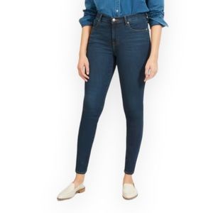 EVERLANE | The Mid Rise Skinny Jeans- Dark Wash